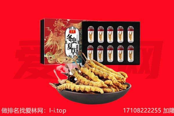 汕尾市回收虫草.jpg